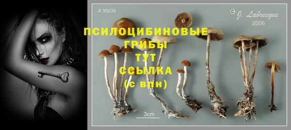 spice Балабаново