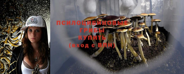 бутират Баксан