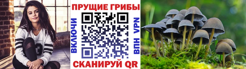 Галлюциногенные грибы GOLDEN TEACHER  Мурманск 